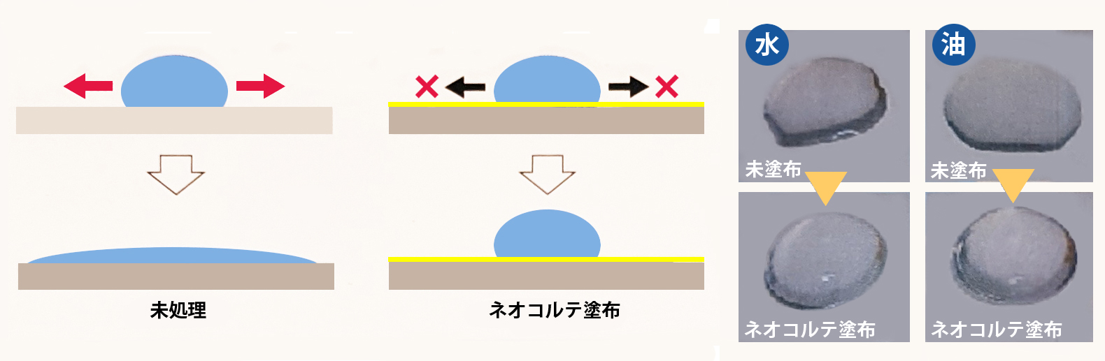 図版